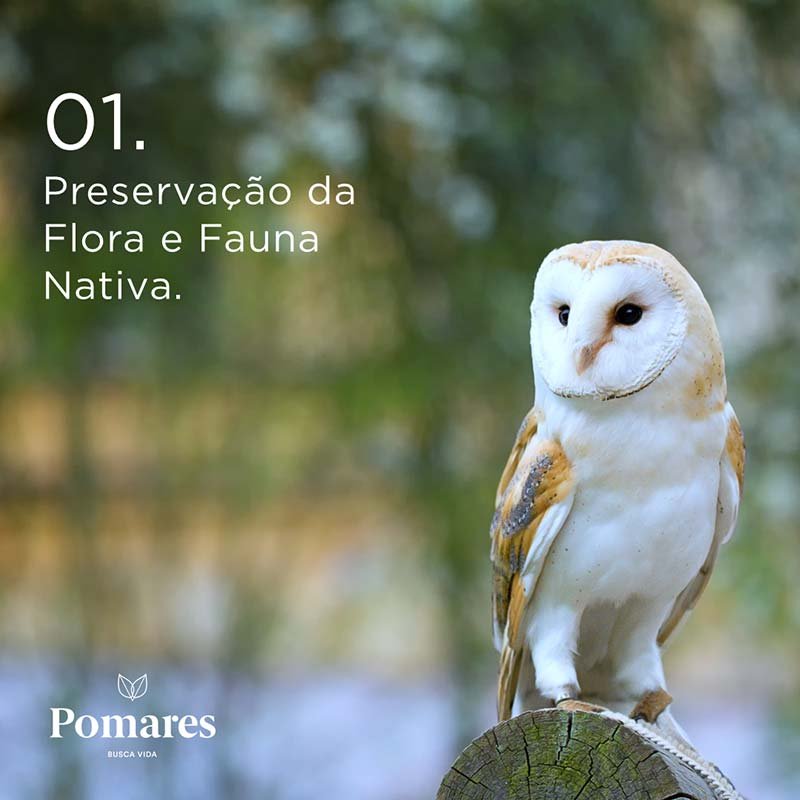 (04)-Pomares-Continuos-01